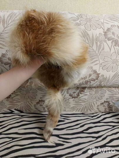 Шапки меховые