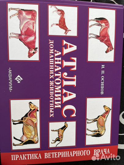 Атлас анатомия животных