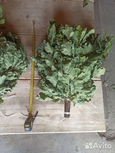 Веники для бани