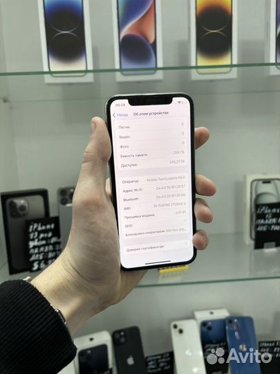 iPhone X, 256 ГБ