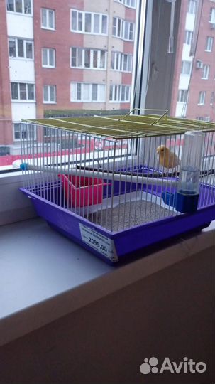 Мини клетка