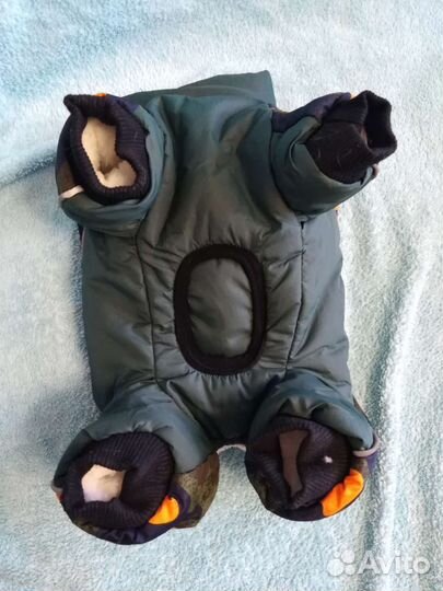 Одежда для собак мелких пород