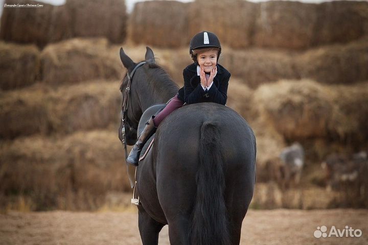 Конные прогулки