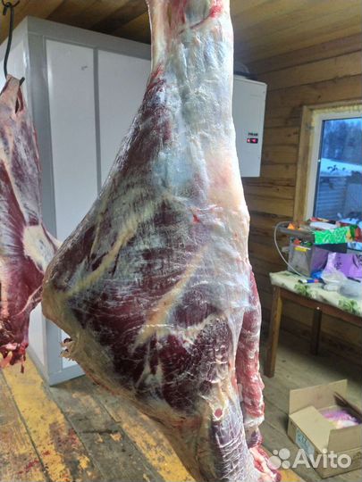 Мясо говядины молодняк деревенское