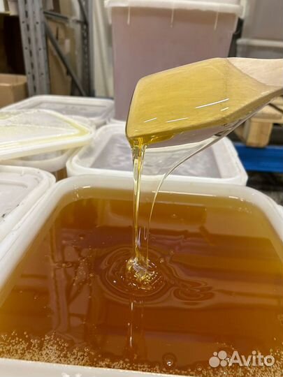 Майский мёд свежий 2024