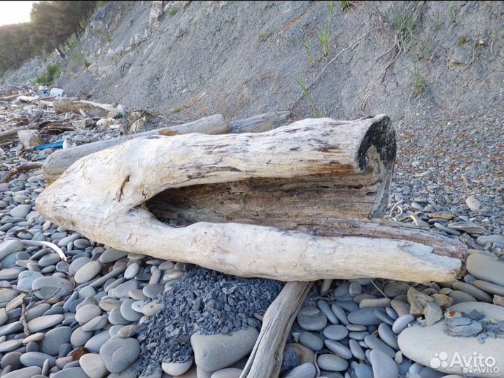 Крупный дрифтвуд. Брёвна, коряги, пни. Под заказ