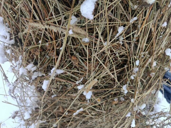 Продам сено в рулонах