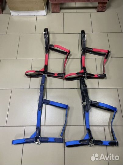 Недоуздок для лошади