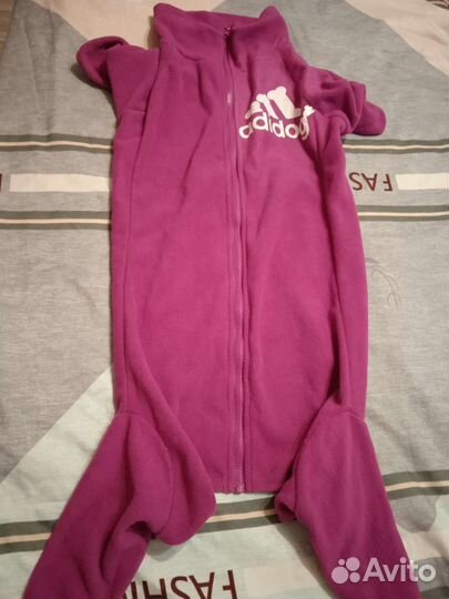 Одежда для собак