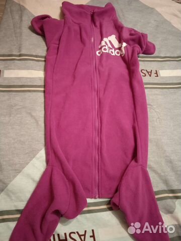 Одежда для собак