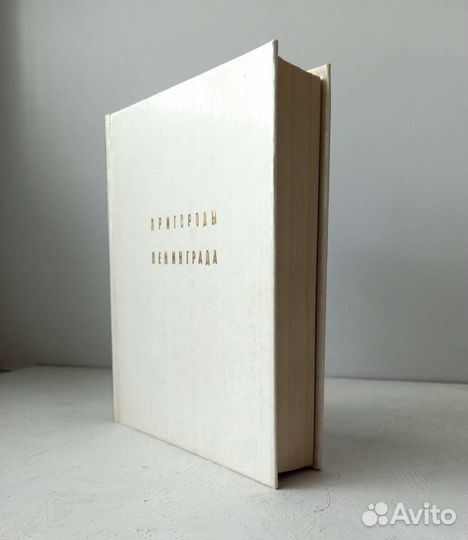 Пригороды Ленинграда 1985 Кючарианц, Раскин