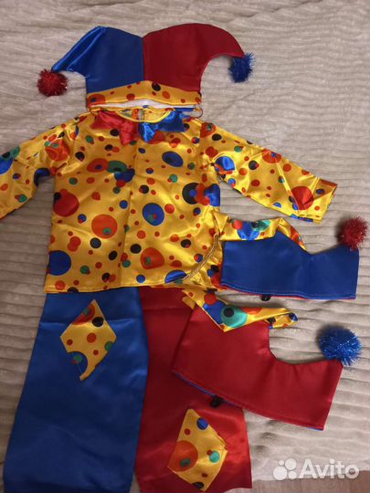Костюм петрушки 110