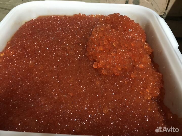 Продажа икры лососевой