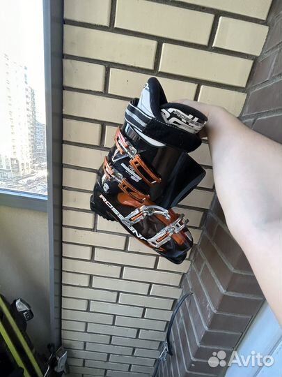 Горные лыжи комплект head