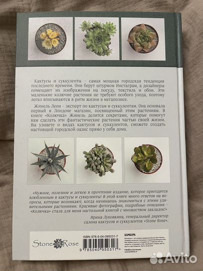 Колючка как создать зеленый оазис у себя дома