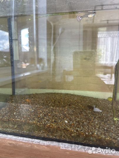 Продаю аквариум