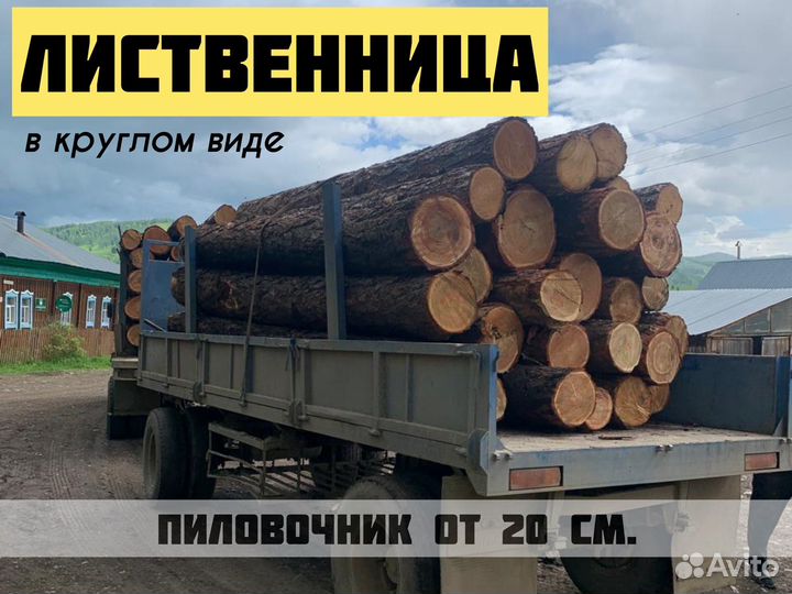 Лес кругляк лиственница