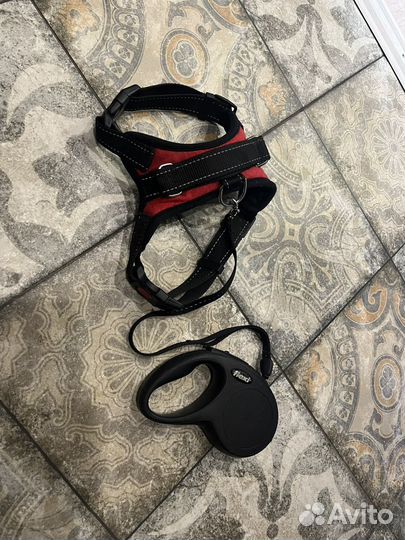 Шлейка, поводок, ошейник, рулетка