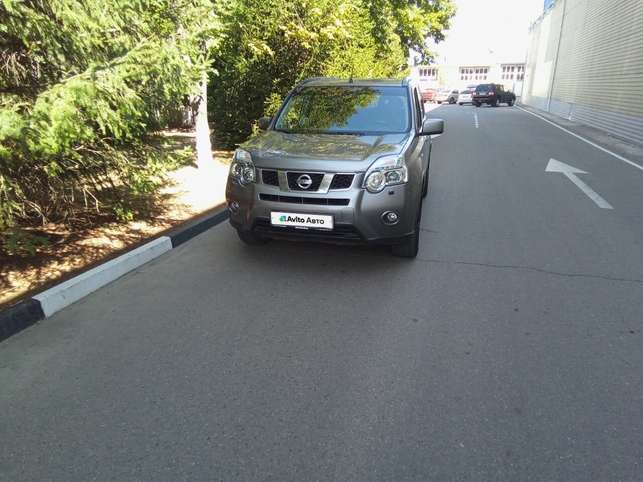 Nissan X-Trail: фото владельца