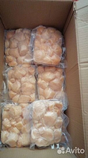 Гребешок Приморский