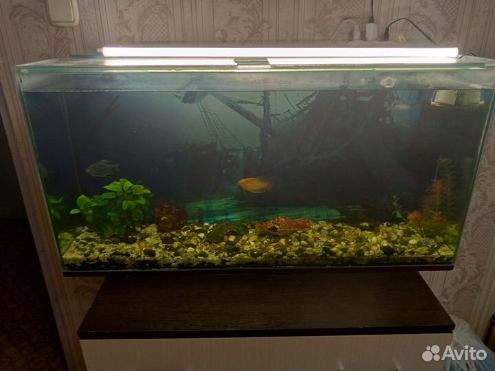 Аквариум