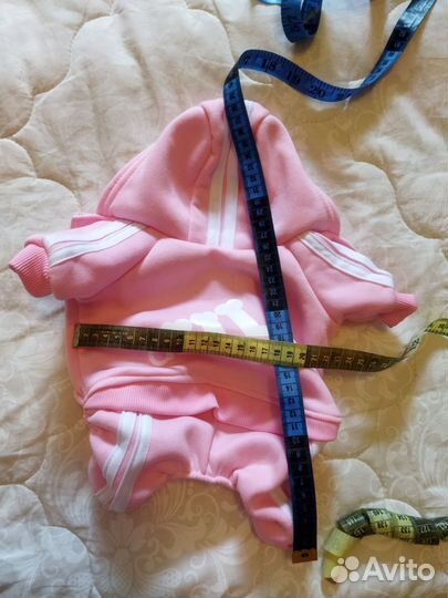 Костюм и шлейка для маленькой собаки