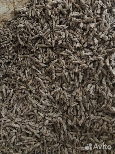 Гипоаллергенный корм для собак и кошек 10 кг