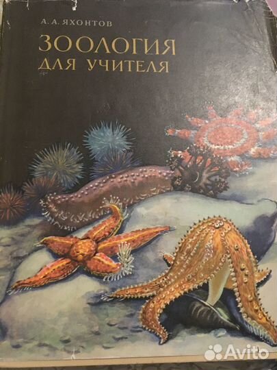 Зоология для учителя 1968 г. Яхонтов