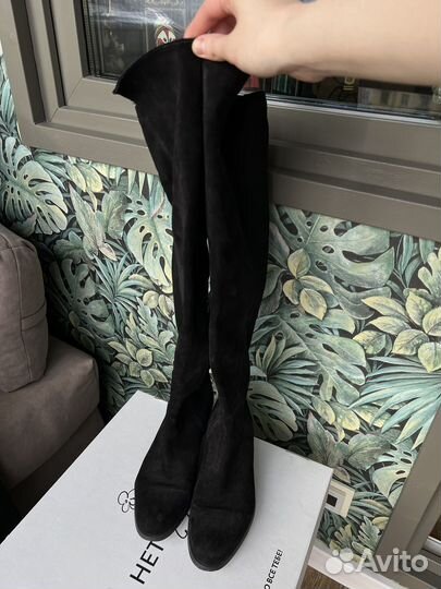 Женские сапоги minelli демисезон высокие