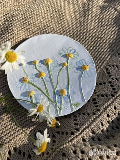 Ботанический барельеф