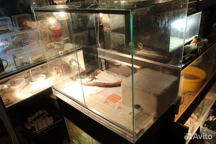 Террариумы для пауков, ящериц и змей