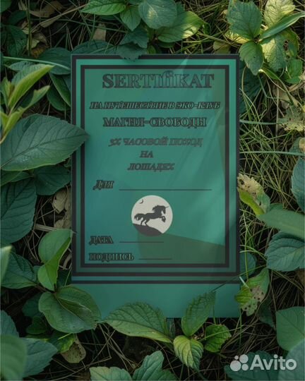 Графический дизайнер удаленно