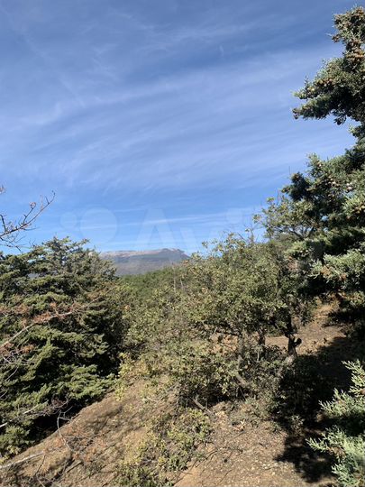 Участок 9 сот. (ИЖС)