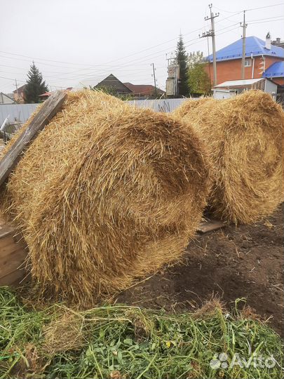 Солома в мешках для подстилки. Свежий урожай