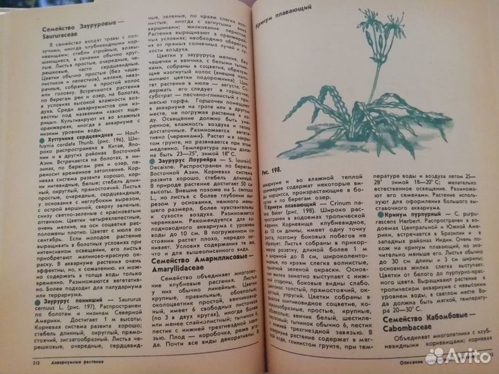 Аквариумные растения Жданов