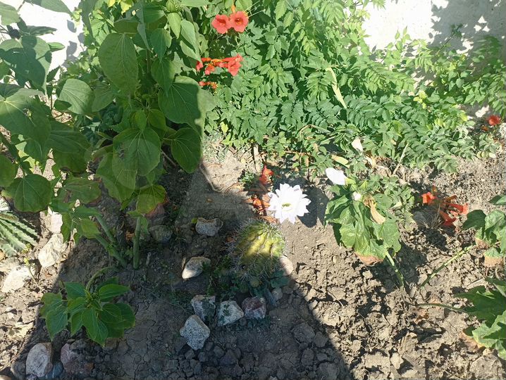 Дача 96 м² на участке 6,6 сот.