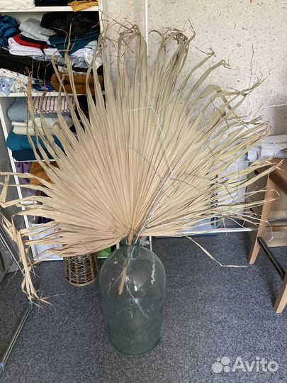 Декоративный лист пальмы