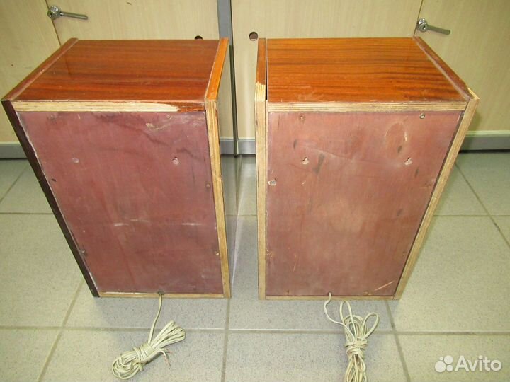 Акустическая система вега 25ас-002