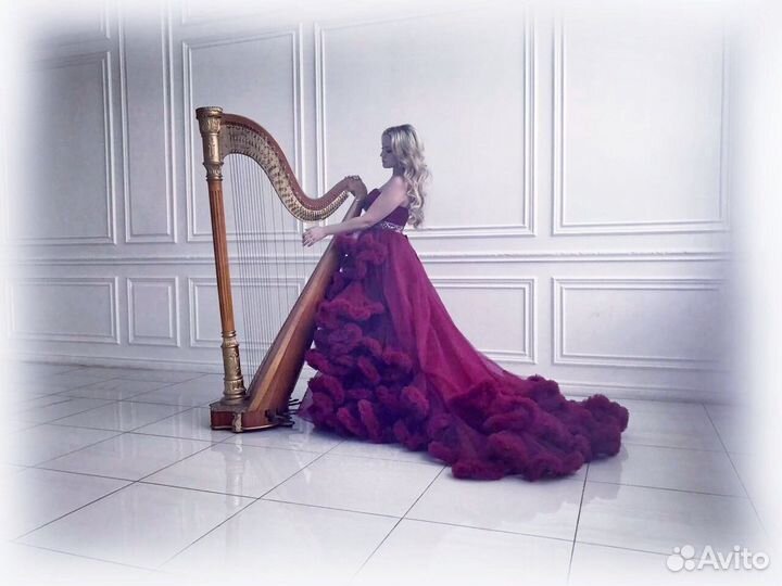Эксклюзив Арфа Арфистка и музыканты на мероприятие