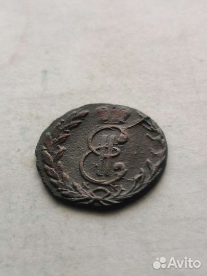 Деньга сибирская