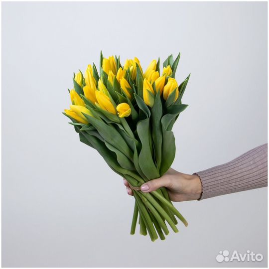 Тюльпаны к 8 марта оптом
