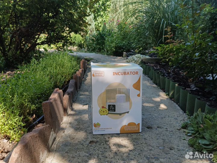 Инкубатор