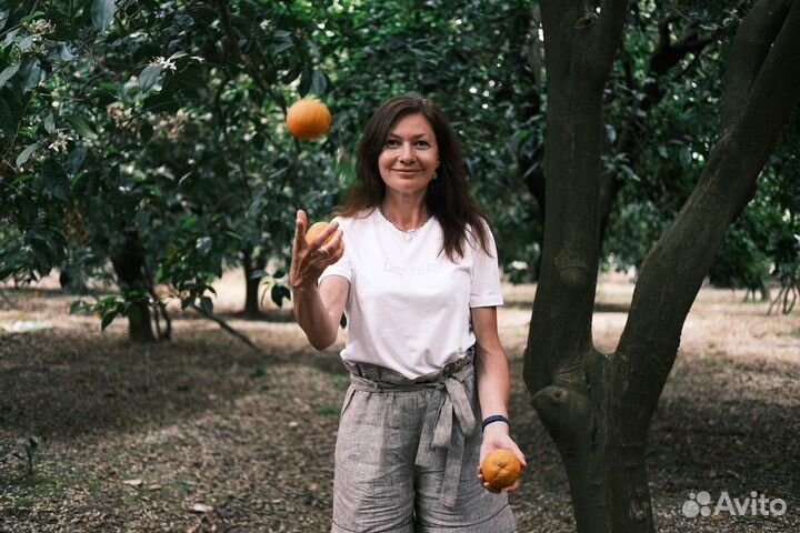 Подготовка к ВПР