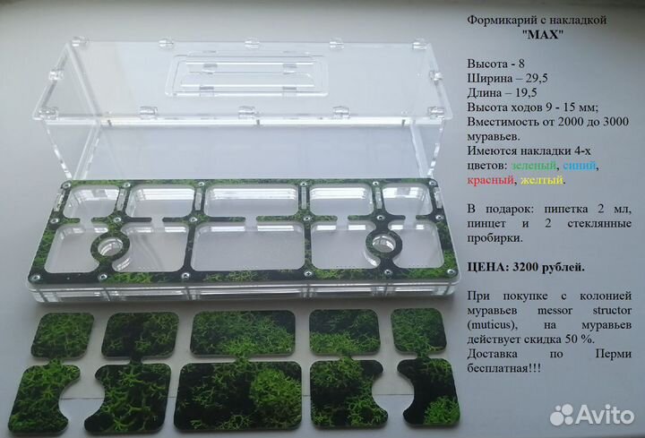 Формикарий, муравьиный дом