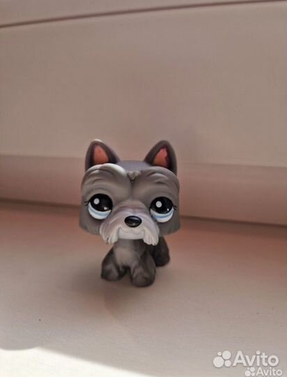 Littlest Pet Shop собачка