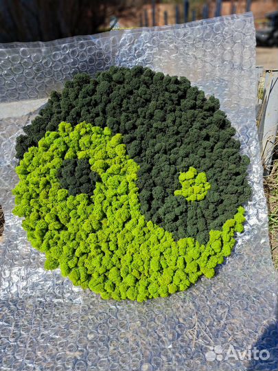 Экокартина инь-янь