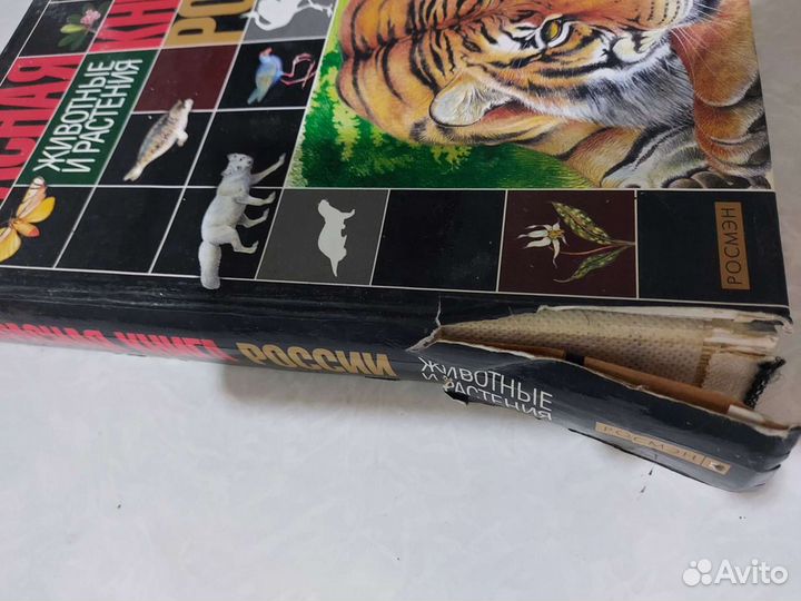 Красная Книга России + энциклоп. Птицы и звери