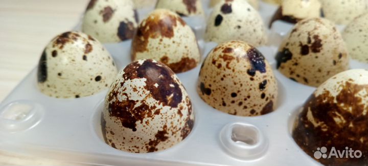 Перепелиные домашние яйца