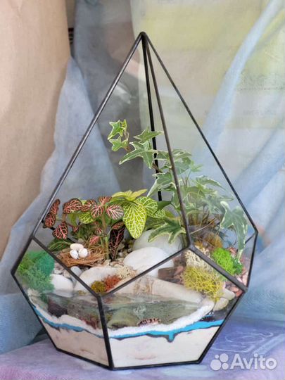 Живые влаголюбивые растения в вазе бонсай