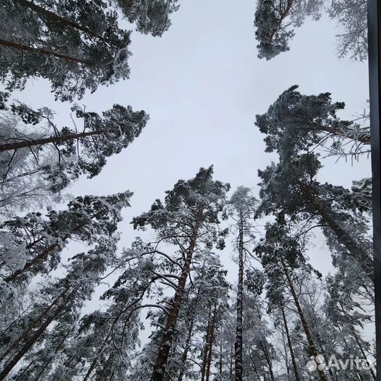 Русская баня на дровах Тонкое Тело